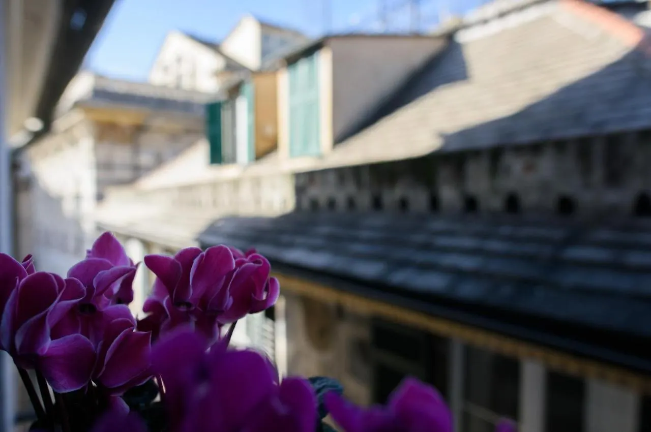 Bed & Breakfast B&B Piccoli Leoni Genoa